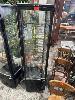 346 · 4 WAY UPRIGHT DISPLAY FRIDGE, EMERALD, MOD: EE-RDC-290 (M2), 290 LITRE, 6 TIER, ILLUMINATED, 240V 10 AMP
