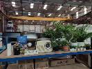 BUSH RETRO RADIO,, MOD: TR82DAB, 13 x ARTIFICIAL PLANTS,, TIMBER PICTURE FRAME WITH ART