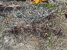 Prickle Chain, Wire Rope Cable & 3ptl Ripper No Gst