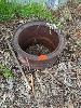 252 · TRUCK RIM FIREPIT NO GST