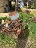 273 · YARD ART SULPHUR DUSTER NO GST