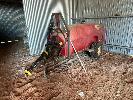 37 · MAXIM ROW CROP SPRAYER, SINGLE AXLE, MOD: TREE ROW SERIES, 2,000 LITRE POLY TANK, P.T.O. DRIVE PUMP, SERIAL: 31562