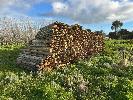 HUGE QTY PERMAPINE POSTS, 100/125mm, (USED)