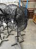 163 · 16 x INDUSTRIAL PEDESTAL FANS, BLACK, 240V SINGLE PHASE