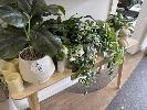 33 · 7 x ARTIFICIAL PLANTER POTS
