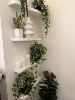 6 X Artificial Planters, Candles & Vase