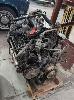 1981 Rolls Royce L-Series V8 Engine. Naturally Aspirated, Twin Su Carburettor, No Gst