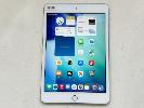 Apple Ipad Mini 5th Gen, 64gb, Wi-Fi, Silver, Model Muqx2x/A, A2133, (No Cable, No Charger), S/N:Dmpyvdm4lm94