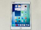 210 · APPLE iPAD MINI 5TH GEN, 64GB, Wi-Fi, SILVER, MODEL MUQX2X/A, A2133, (NO CABLE, NO CHARGER), S/N:DMPYVDLGLM94
