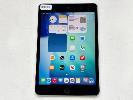 220 · APPLE iPAD MINI 5TH GEN, 64GB, Wi-Fi, SPACE GREY, MODEL MUQW2X/A, A2133, (NO CABLE, NO CHARGER), S/N:DMPDR18HLM93