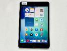 217 · APPLE iPAD MINI 5TH GEN, 64GB, Wi-Fi, SPACE GREY, MODEL MUQW2X/A, A2133, (NO CABLE, NO CHARGER), S/N:DMPDR2T9LM93