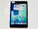 216 · APPLE iPAD MINI 5TH GEN, 64GB, Wi-Fi, SPACE GREY, MODEL MUQW2X/A, A2133, (NO CABLE, NO CHARGER), S/N:DMPDR2F4LM93