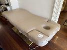 Dsse Latte Vinyl Upholstered Treatment Bed, Electronic Adjustable, 240v, Single Phase