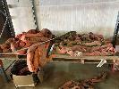 51 · SOFT SLINGS UP TO 20 TONNE, 2 x PALLETS