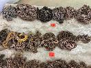 76 · 5 x ASSORTED DOG CHAINS