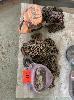 117 · 2 x 1 TONNE CHAIN BLOCKS