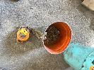 153 · CHAIN BLOCK, 1 TONNE
