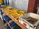310 · REEMERS, TAPS & DIES, ASSORTED SIZES IN POLY PARTS DRAWERS,, 1 x SHELF