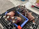 Hydraulic Pump/Motor & 2 X Drive Units To Suit, 1 X Pallet