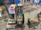 246 · PETROL TYPE AVI 5HP DIESEL ENGINE, SINGLE FLYWHEEL NO GST