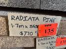 135 · RADIATA PINE SLAB, 1.7m x 900 x 60mm