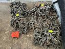 177 · 3 x TRANSPORT CHAINS, 10mm CHAIN, 1 SET WITH HOOKS NO GST