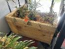 83 · MOBILE TIMBER PLANTER POT 1200 x 500 x 690mm (H), 3 x SUNSHINE PALMS