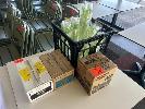 124 · TAKEAWAY SALT, PEPPER, CUPS, ETC