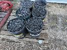 68 · 6 x PLASTIC TUBS FORGE COKE NO GST